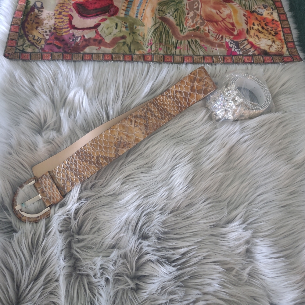 Boutique + Vintage Belt Lot Bundle - 17 Belts - Picture 8 of 8